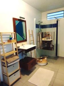 a bathroom with a sink and a mirror at Kampagn Jacuzzi - Rémire Wifi et climatisation in Bourda