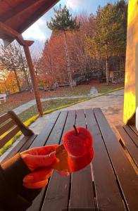 a person holding a red heart on a picnic table at Razem Lendina e Qete in Razëm