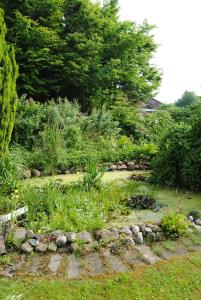 a garden with rocks and plants and trees at Wohnung In Beliebtem Gästehaus Mit Fahrradverleih in Windeby
