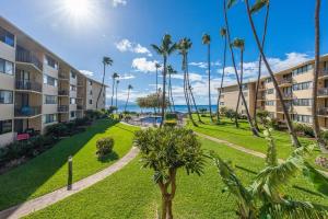 een appartementencomplex met palmbomen en een park bij Kanai A Nalu 211 · KAN 211 Remodeled OceanFront 2BD for Whale Wa in Wailuku