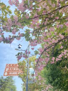 ein Straßenschild neben einem Baum mit rosa Blumen in der Unterkunft Zhangjiajie Tianchong Yunhai Hotel-The hotel is about 700 meters away from the east gate of Zhangjiajie National Forest Park local specialty breakfast AttractionTickets Serivce in advance English butler service in Zhangjiajie