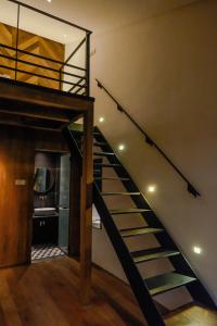 Φωτογραφία από το άλμπουμ του Playce Hotel σε George Town +3 φωτογραφίες