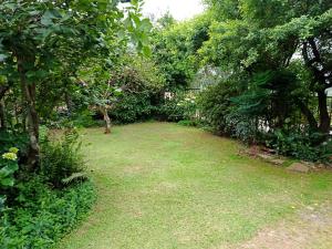 um quintal com cerca, árvores e relva em Serendipity-on-Symmonds Cottage em Howick