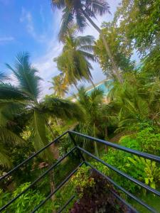Una vista de palmeras desde lo alto de una escalera en Talalla Wonder View, en Talalla South