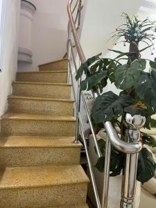 Foto Hồ Chí Minhis asuva majutusasutuse Casa Del TDX galeriist +1 foto