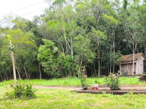 Κήπος έξω από το Casa de campo da Prof Fabi