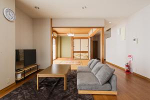 TV a/nebo společenská místnost v ubytování Snow base Iiyama