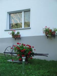 Zahrada ubytování Osteria Del Centro