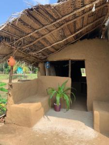 Φωτογραφία από το άλμπουμ του Hideout Madawalalanda σε Ampara