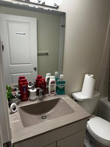 a bathroom with a sink and a toilet and a mirror at Delly place in Winnipeg