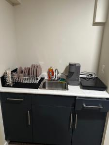 Una encimera de cocina con un fregadero y un fregadero. en Delly place, en Winnipeg 5 fotos más