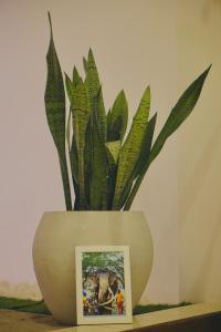 Φωτογραφία από το άλμπουμ του White House Group - Luxury Apartments, Matara City σε Matara