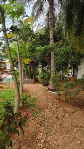 Serene Homestay في بادامي: مسار مع أشجار النخيل وشاطئ مع مبنى