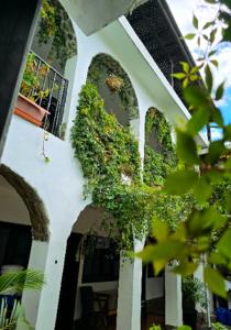 Κήπος έξω από το Casa de la Torre