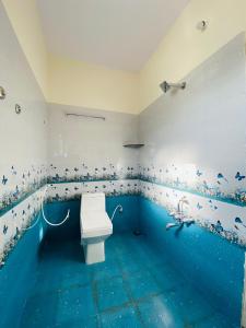 a bathroom with a toilet in a pool of water at Coorg Mountain View in Madikeri