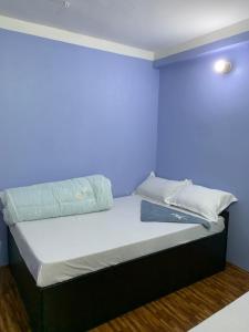 a bed in a room with a blue wall at DIPSAGAR Hotel And Lodge in Bandīpur