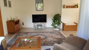 a living room with a couch and a tv at Fewo Blütenreich in Traben-Trarbach