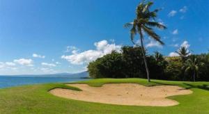 a palm tree on a golf course next to the ocean at Nite and Day Batam Jodoh Square in Tanjunguma