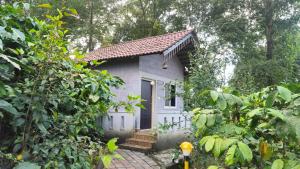 a small house in the middle of a garden at Finca Backwater Homestay in Suntikoppa