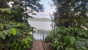a path leading to a body of water with a gate at Finca Backwater Homestay in Suntikoppa