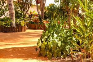 a garden with green plants and trees and a sidewalk at Pousada Villa Botânica in Aracati