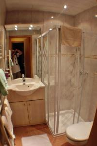 W łazience znajduje się prysznic, toaleta i umywalka. w obiekcie Pension Englhof w mieście Achenkirch