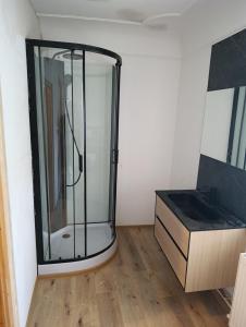 a glass shower in a room with a wooden floor at Hause Alpina in Bichlbach +6 photos