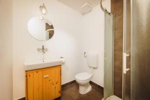 a bathroom with a toilet and a sink and a mirror at Glamping Bizjak in Preddvor