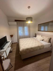 a bedroom with a bed and a desk and a television at Da Iro in Larisa +6 photos