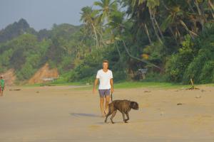 Animal o animals de companyia a Surf Range