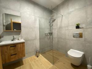 Un baño con ducha, inodoro y lavabo. en Apartmány Mikulov 45, en Mikulov v Krušných Horách 81 fotos más