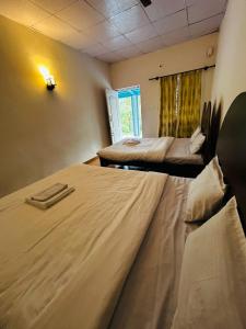 JamburにあるIsland Cafeのベッドが2つと窓があるホテルの部屋