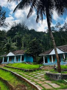 JamburにあるIsland Cafeのヤシの木が目の前にある青い家 +3枚の写真