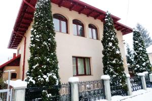 a house with two christmas trees in front of it at Vila Simon in Câmpulung Moldovenesc