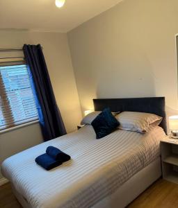 ein Schlafzimmer mit einem Bett mit zwei blauen Kissen darauf in der Unterkunft City Centre Apartment - Free Parking - Sleeps 4 in Exeter
