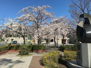 eine Gruppe von Bäumen mit weißen Blumen darauf in der Unterkunft YabFarm Lodge 202 in Kashiwa