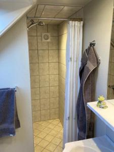 Koupelna v ubytování 1st floor 2 rooms with kitchenette