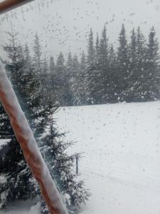 a view of a snow covered field with trees at Глемпінг Перлина Карпат in Dragobrat