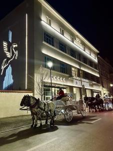 クラクフにあるHotel Ferreus Modern Art Decoの馬車