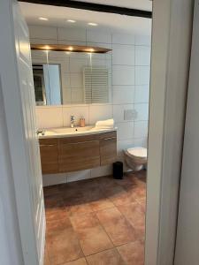 une salle de bain avec un lavabo et des toilettes dans l'établissement Neu! Alter Kornspeicher, à Bönen 14 autres photos