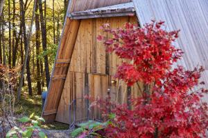 ein Holzschuppen mit einem roten Busch davor in der Unterkunft SANU 2nd Home 八ヶ岳2nd in Hokuto