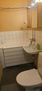 a bathroom with a sink and a toilet and a tub at Pankkikallio in Sorsakoski