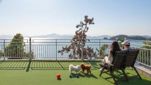 un homme et une femme assis sur une chaise avec deux chiens dans l'établissement Yeosu dasi bom pension, à Yeosu 2 autres photos