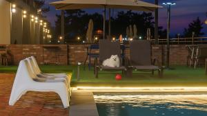 Un perro sentado en sillas junto a una piscina por la noche en Yeosu dasi bom pension, en Yeosu