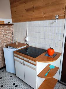 Kuchyň nebo kuchyňský kout v ubytování Montée du Boiloa - Bielle, Laruns