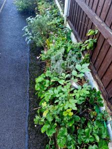 Aed väljaspool majutusasutust Charming Wythenshawe Home with Garden and Parking