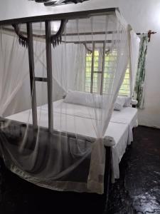 ワタムにあるMimi ni wakoのギャラリーの写真