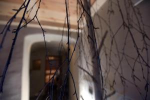 a close up of a wall with tree branches at B&B Mas de Lagorae in Tesero +33 photos