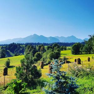 a field with hay and trees and mountains in the background at Siumno Izba B&B Brzegi in Brzegi
