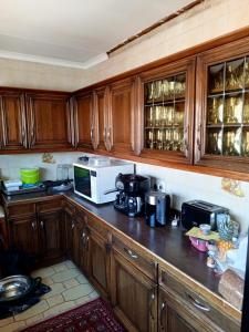 约翰内斯堡The getaway的配有木质橱柜和微波炉的厨房